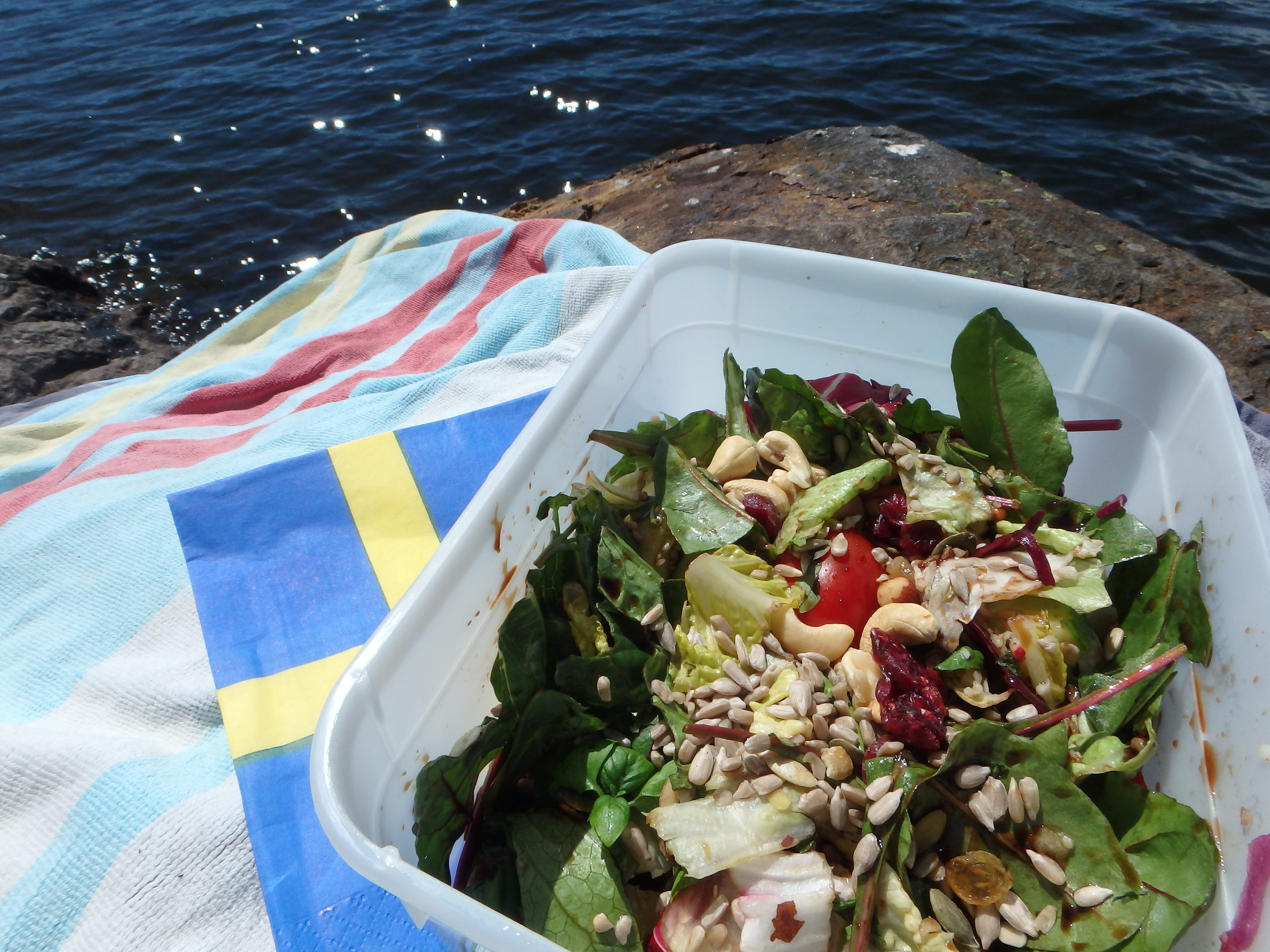 Picknick i naturen