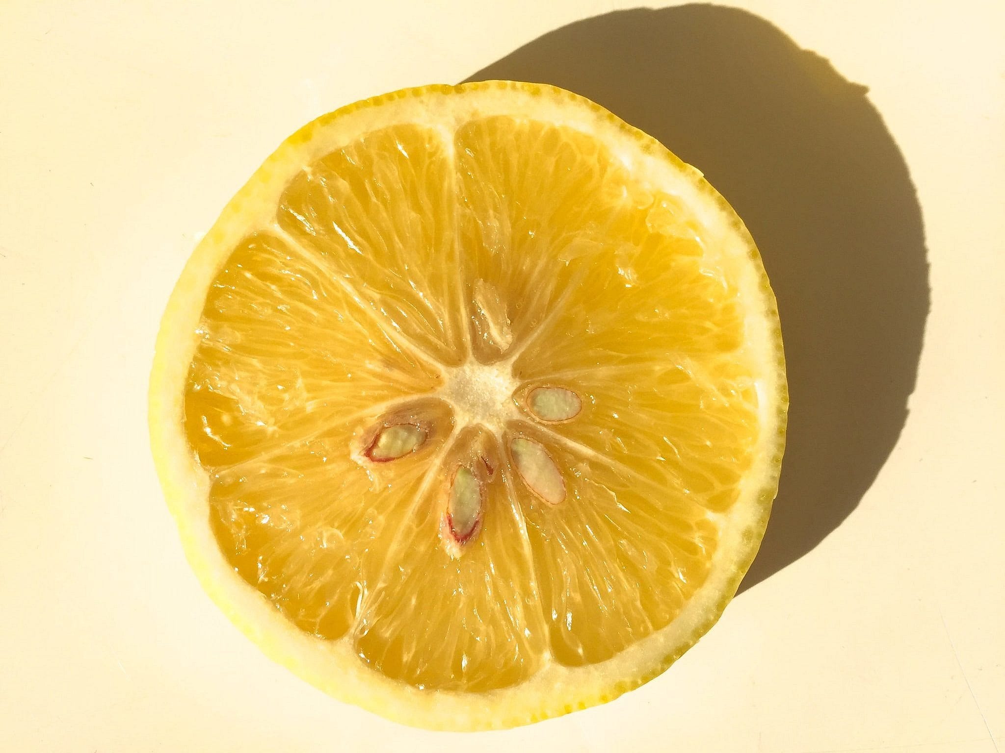 Citroner har mängder av hälsofördelar.
