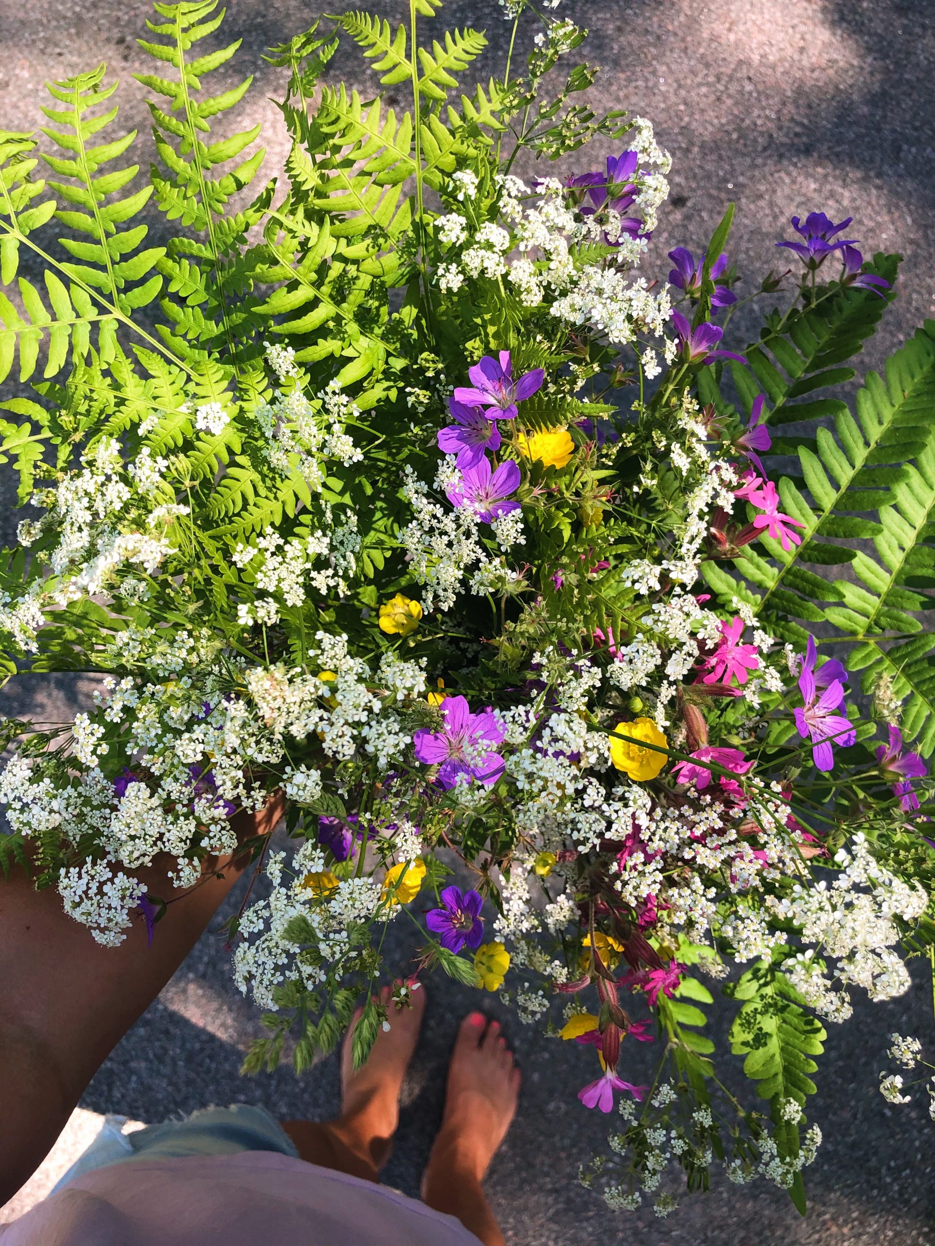 min midsommar
