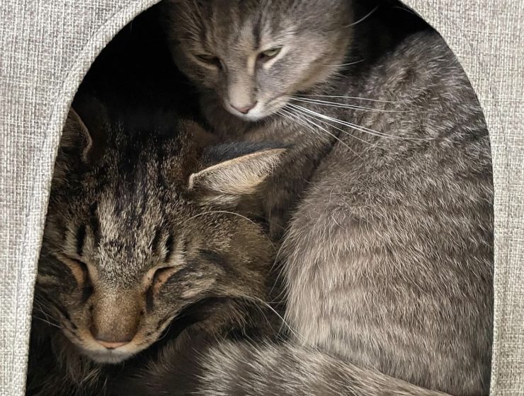 Bosse och Bettan trivs bra på Udden.