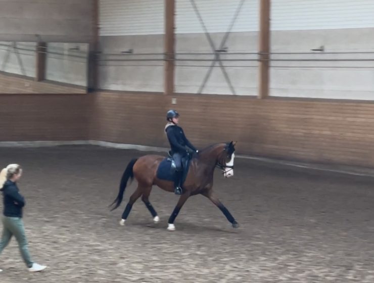 Dressyrträning med Lina Dolk.