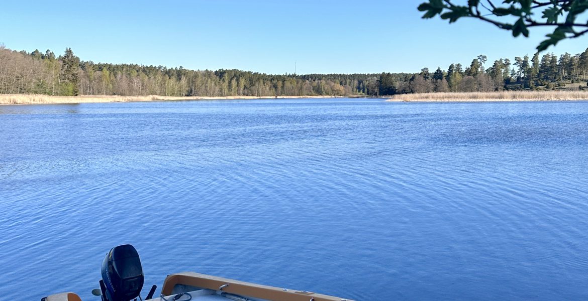 sommar