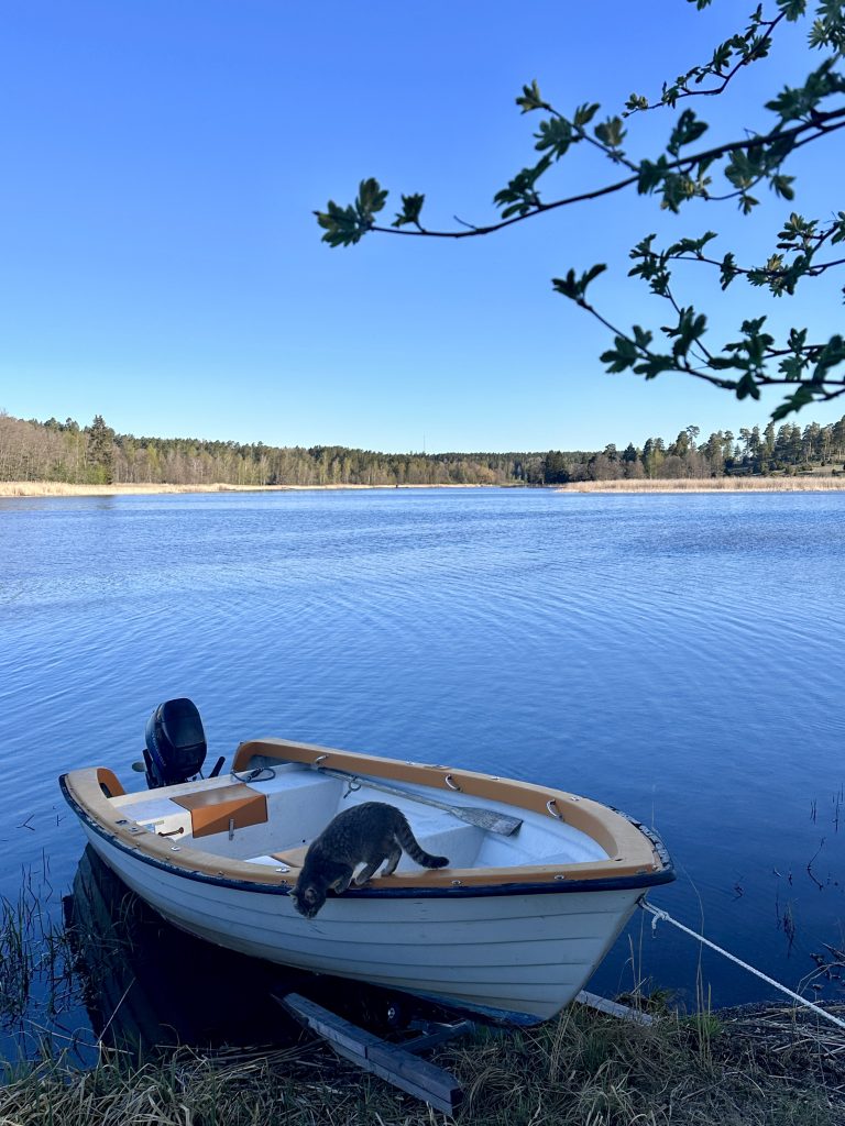 sommar
