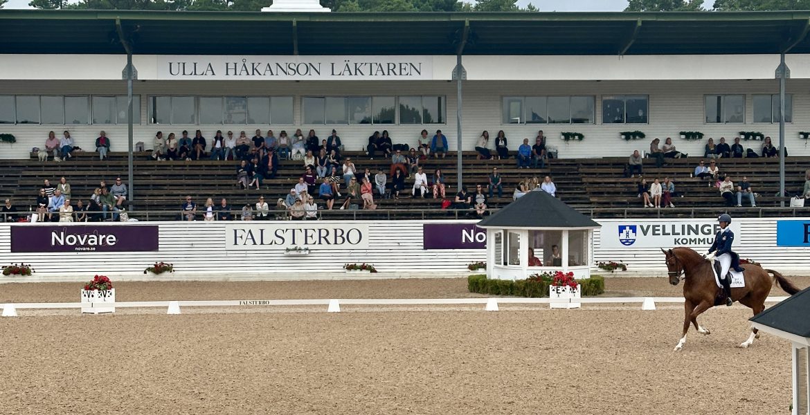 falsterbo horse show