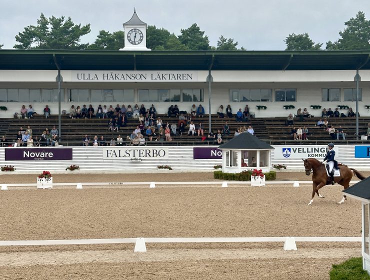 falsterbo horse show