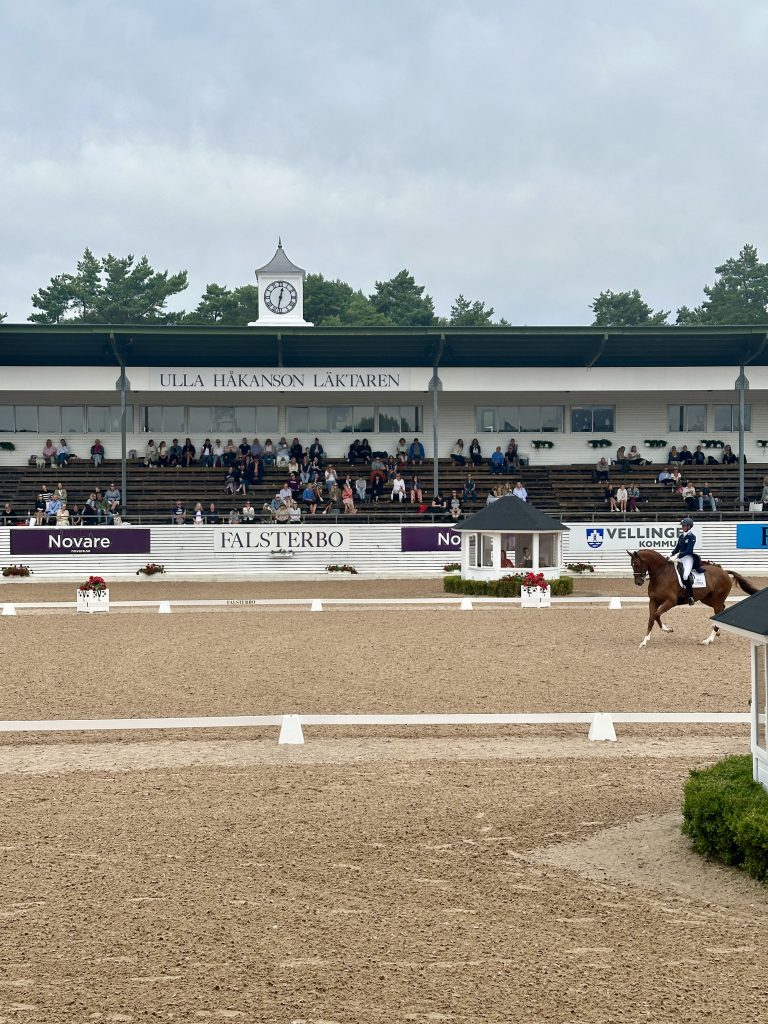 falsterbo horse show